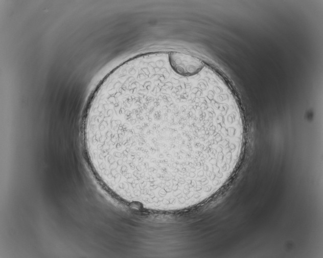 X0000115221517200912091209