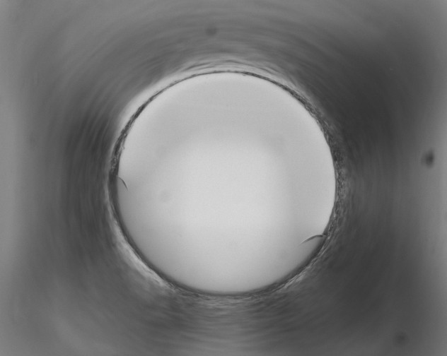 X0000115221518200912091209