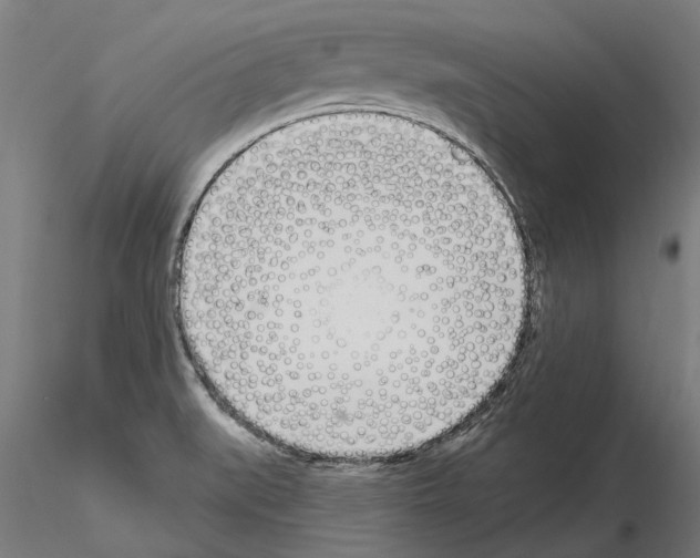 X0000115221519200912091209