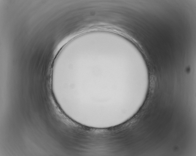 X0000115221522200912091209