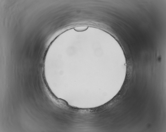 X0000115221523200912091209