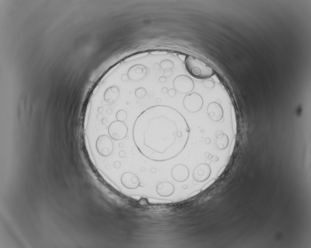 X0000115221525200912091209