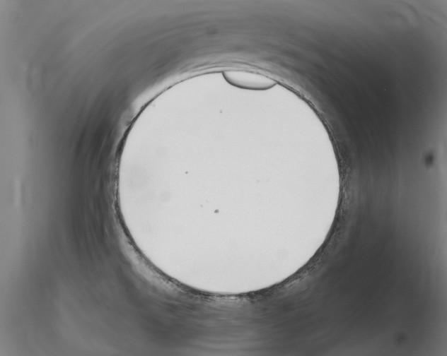 X0000115221526200912091209