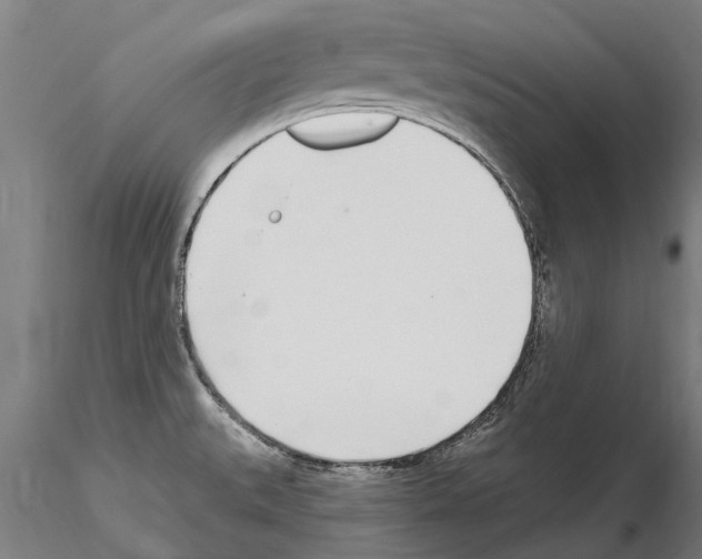 X0000115221527200912091209