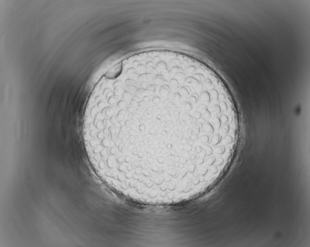 X0000115221529200912091209
