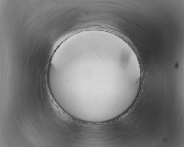X0000115221530200912091209