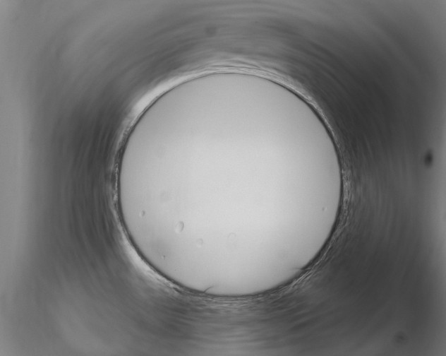 X0000115221531200912091209