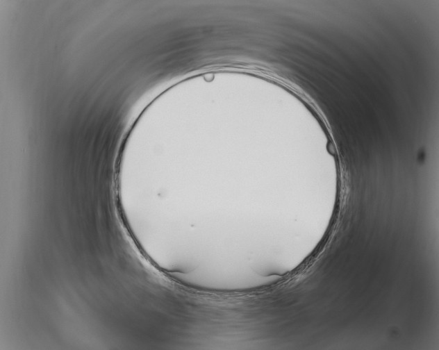 X0000115221533200912091209