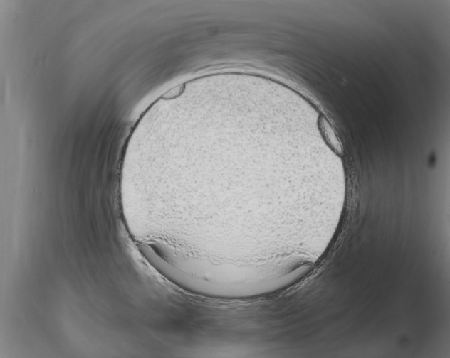 X0000115221534200912091209
