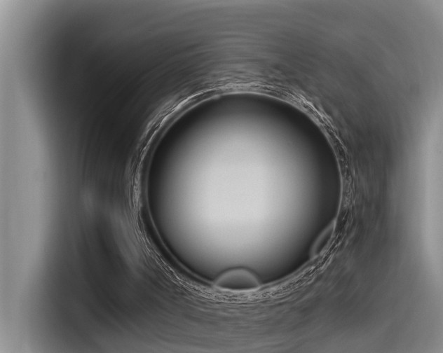 X0000115230002200911061136