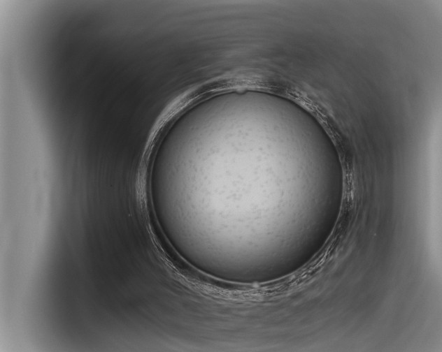 X0000115230004200911061136