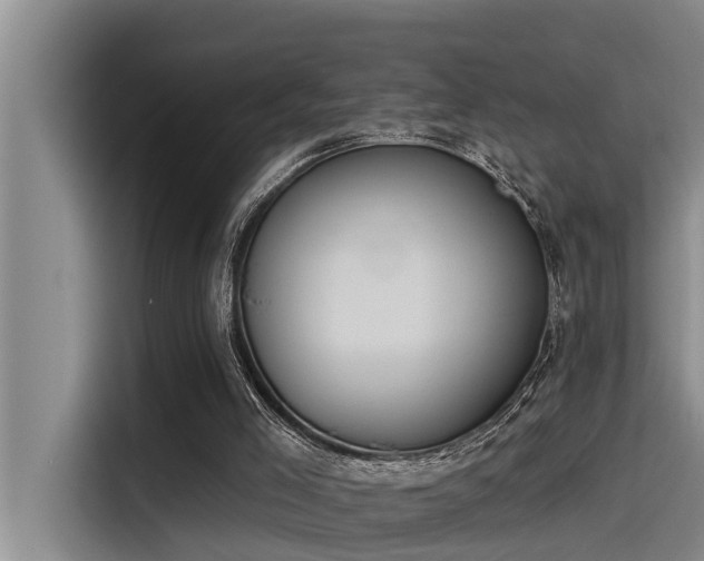 X0000115230005200911061136