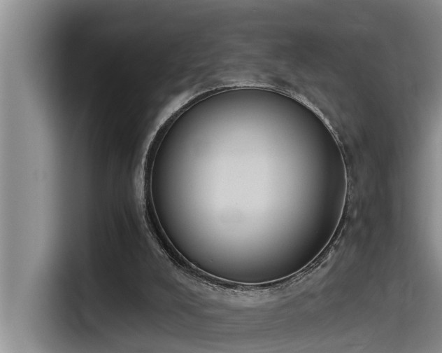 X0000115230008200911061136