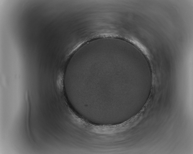 X0000115230009200911061136