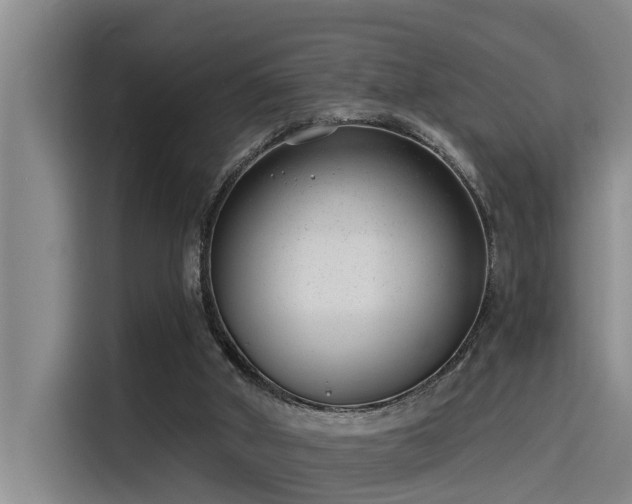 X0000115230010200911061136