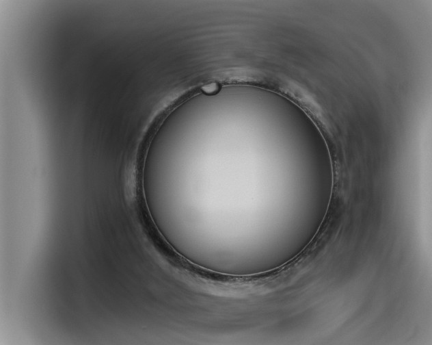 X0000115230012200911061136