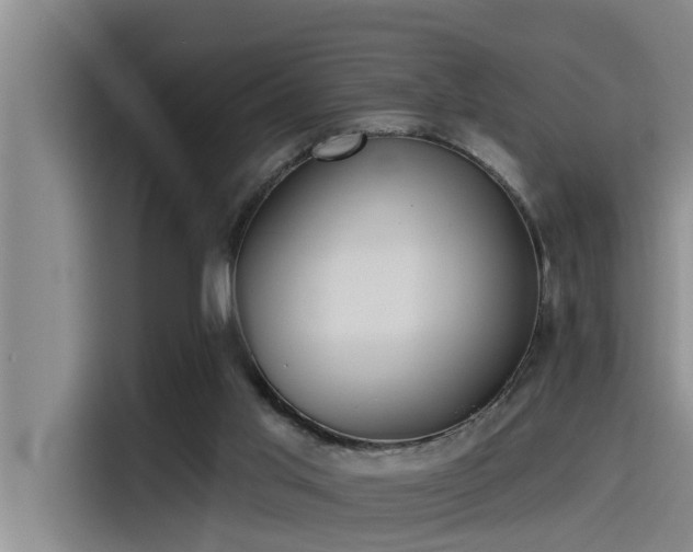 X0000115230013200911061136