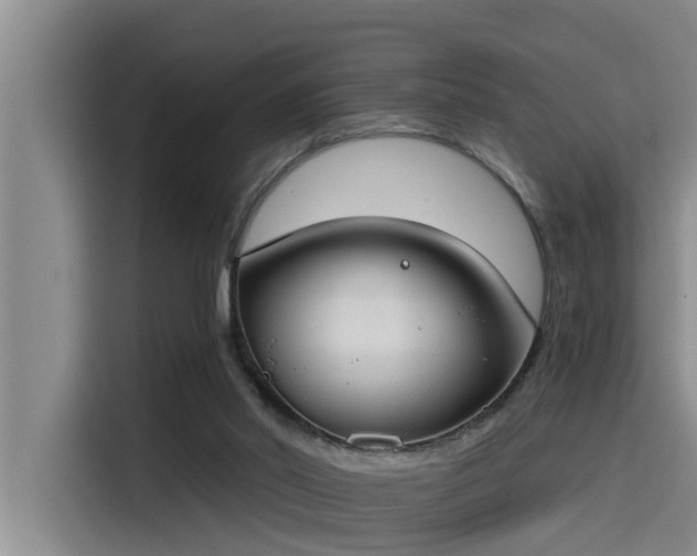 X0000115230014200911061136