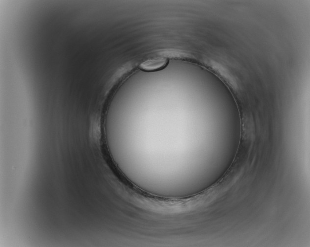 X0000115230015200911061136