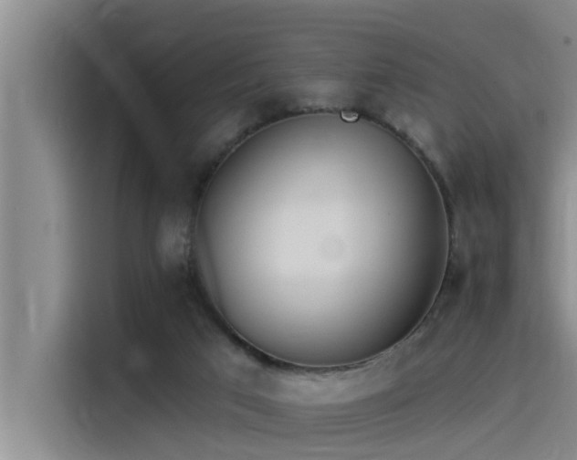 X0000115230017200911061136
