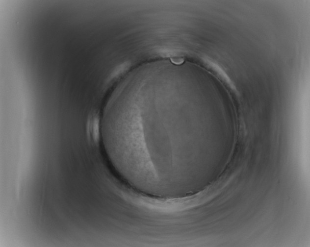 X0000115230019200911061136