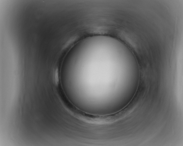 X0000115230020200911061136