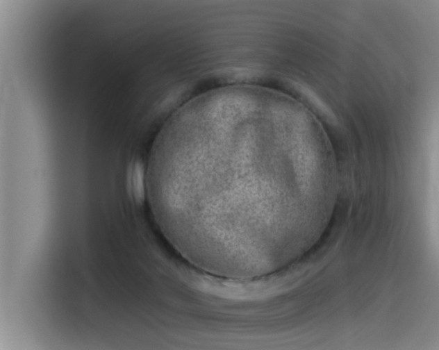 X0000115230022200911061136