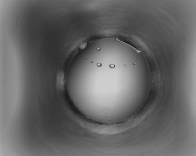X0000115230024200911061136