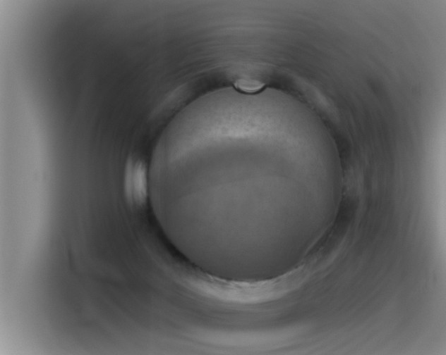 X0000115230027200911061136