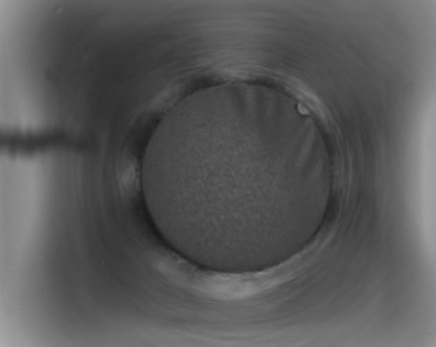 X0000115230029200911061136