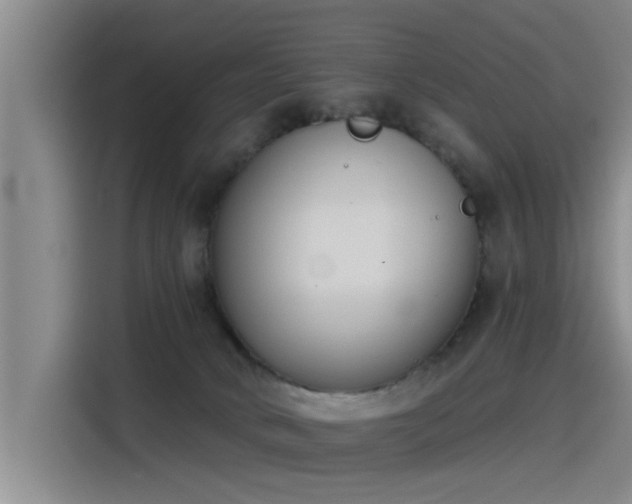 X0000115230034200911061136