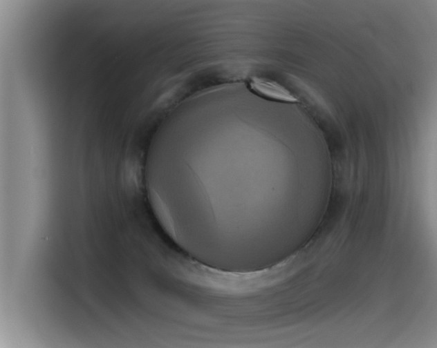 X0000115230035200911061136
