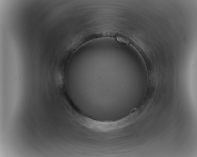 X0000115230039200911061136
