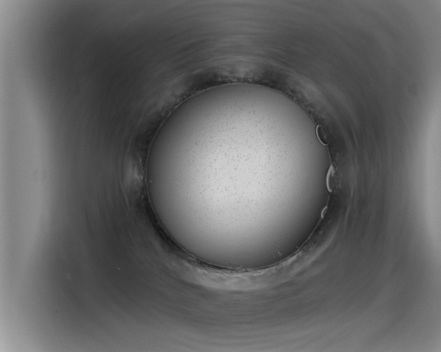 X0000115230040200911061136