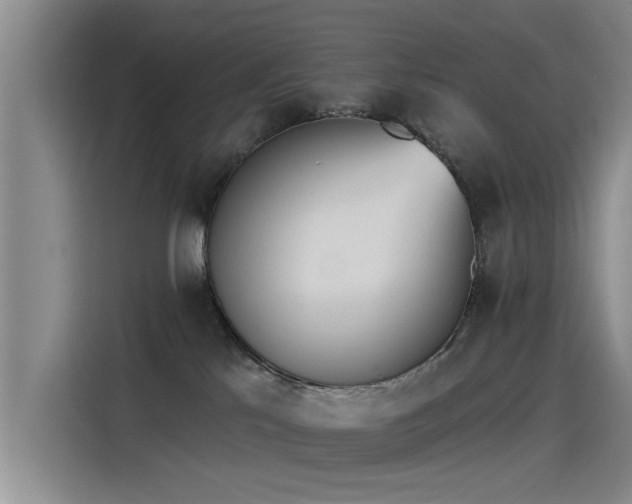 X0000115230041200911061136
