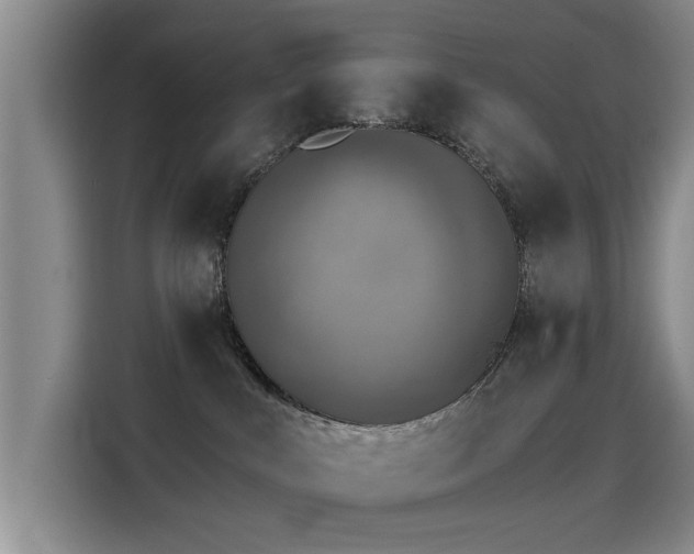 X0000115230043200911061136