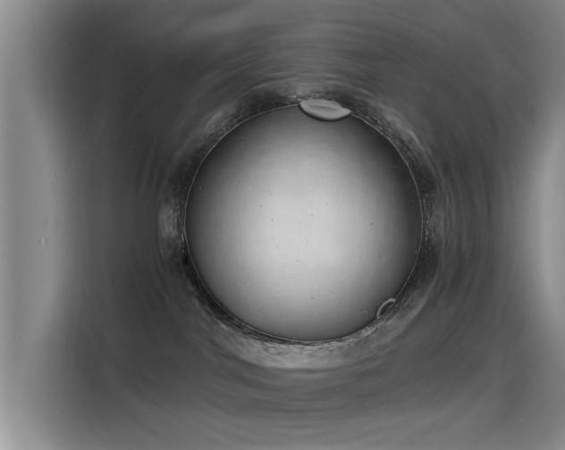 X0000115230044200911061136