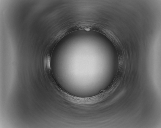 X0000115230046200911061136