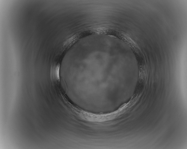 X0000115230047200911061136