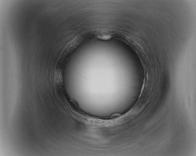 X0000115230048200911061136