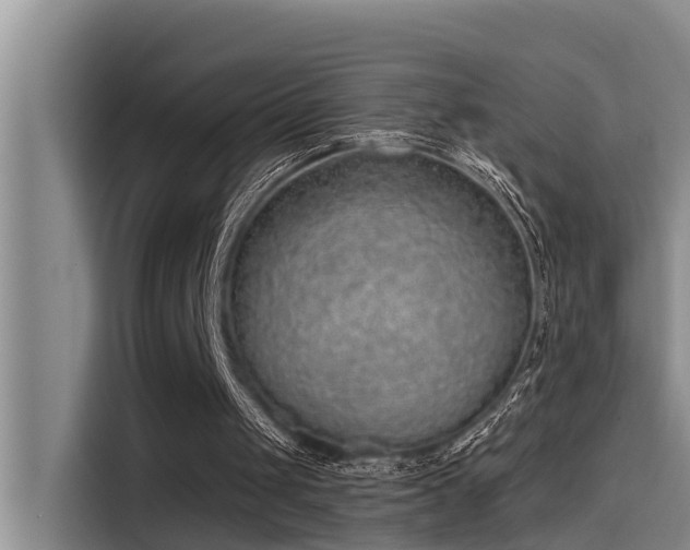 X0000115230049200911061135