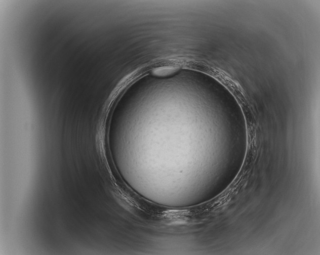 X0000115230051200911061135