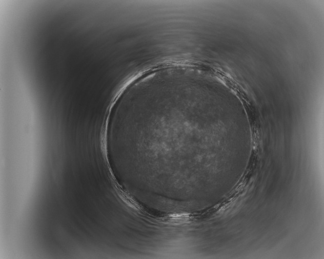 X0000115230052200911061135