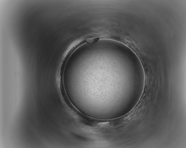 X0000115230054200911061135