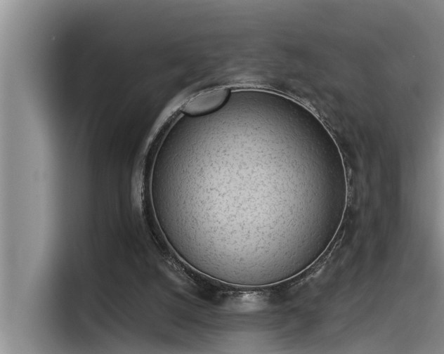 X0000115230056200911061135