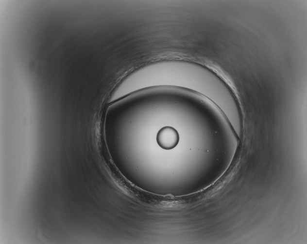 X0000115230057200911061135
