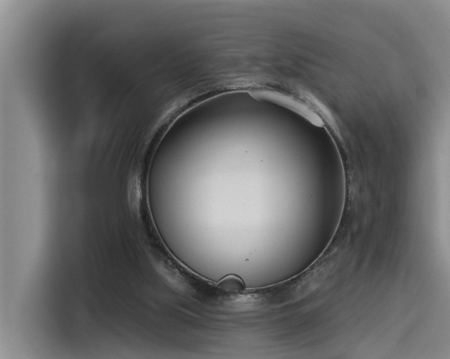 X0000115230059200911061135