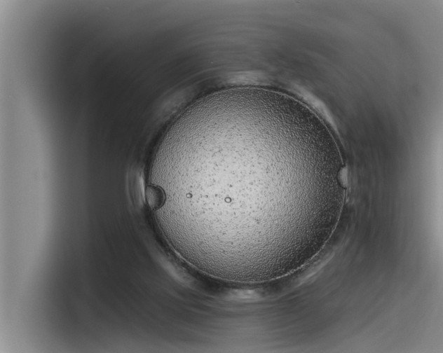X0000115230061200911061135