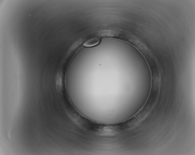 X0000115230064200911061135
