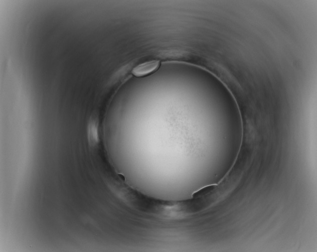 X0000115230068200911061135